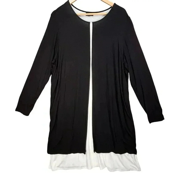 J. Jill Wearever Layered Shift Crewneck Long Sleeve Stretchy A-line Dress XL - Picture 1 of 5